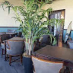 Meet your Posher, Maximo